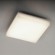 Потолочный светильник LEDTREC 318-10W