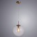Светильник подвесной Volare a1930sp-1ab Arte Lamp картинка 2