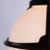 Уличный светильник Monaco a1495so-1bk Arte Lamp картинка 2