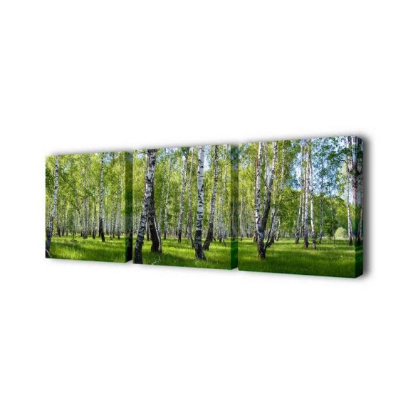 Модульная картина Березы Toplight 150х50см TL-M2003