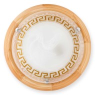 Светильник настенно-потолочный Gien TL9173Y-02PN Toplight