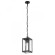 Подвесной уличный светильник ARTE Lamp A4569SO-1BK