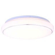 Накладной светильник Picus Globo 41658