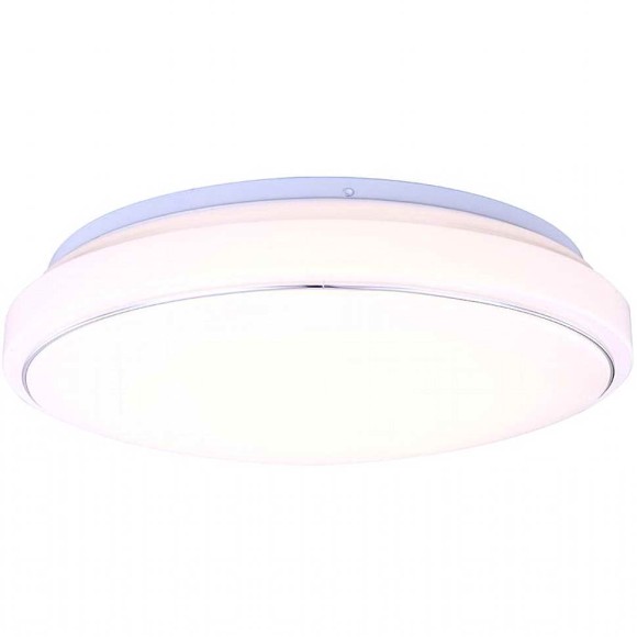 Накладной светильник Picus Globo 41658 Накладной светильник Picus Globo 41658