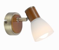 Спот GLOBO 54353-1