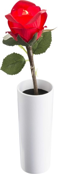 Настольная лампа декоративная Globo 28025