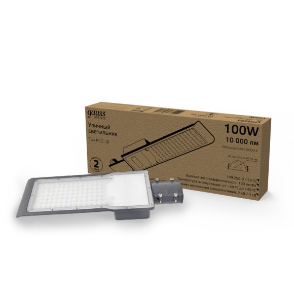 Консольный светильник Gauss 629534300 Консольный светильник Gauss 629534300