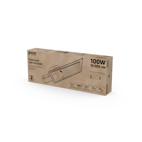 Консольный светильник Gauss 629534300 Консольный светильник Gauss 629534300