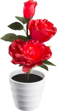 Настольная лампа декоративная Globo 28026