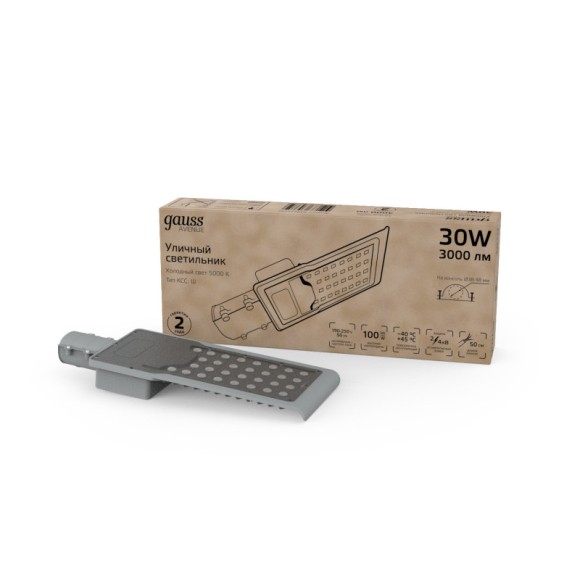 Консольный светильник Gauss 629534330 Консольный светильник Gauss 629534330