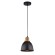 Светильник подвесной Eurica a4245sp-1bk Arte Lamp