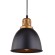 Светильник подвесной Eurica a4245sp-1bk Arte Lamp