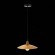 Светильник подвесной ROMO luce sl1017.203.01 ST LUCE