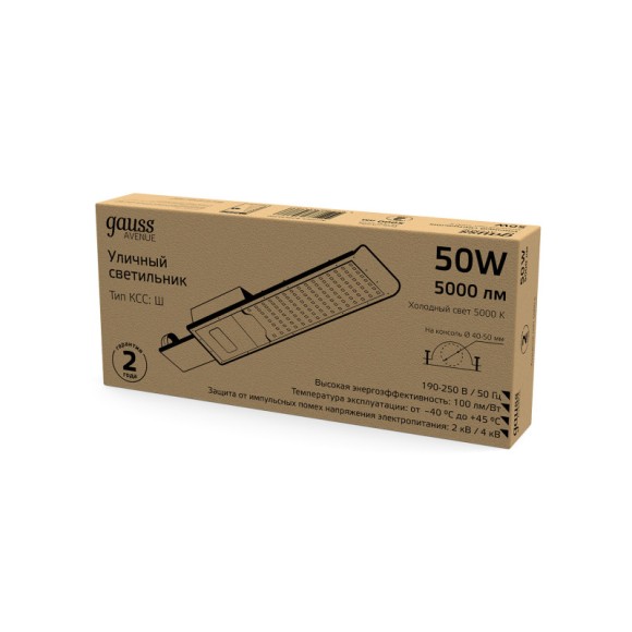 Консольный светильник Gauss 629534350 Консольный светильник Gauss 629534350