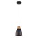 Светильник подвесной Eurica a4248sp-1bk Arte Lamp