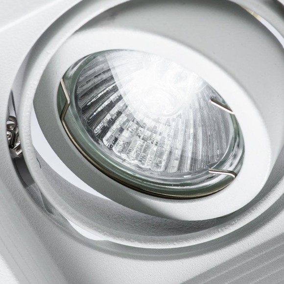 Светильник потолочный Canis a6661pl-1wh Arte Lamp