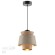 Подвесной светильник Odeon Light 4992/1
