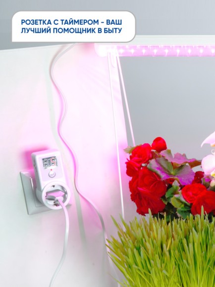 Розетка Feron 41816