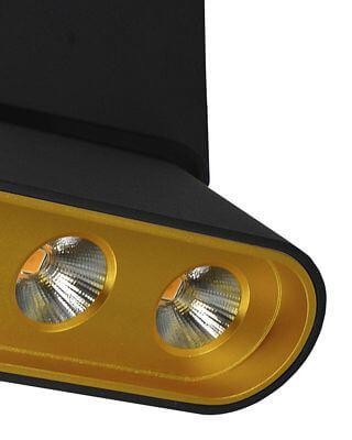 Светодиодный спот Lumien Hall Фергус 8005/3CL-BK-GD Светодиодный спот Lumien Hall Фергус 8005/3CL-BK-GD