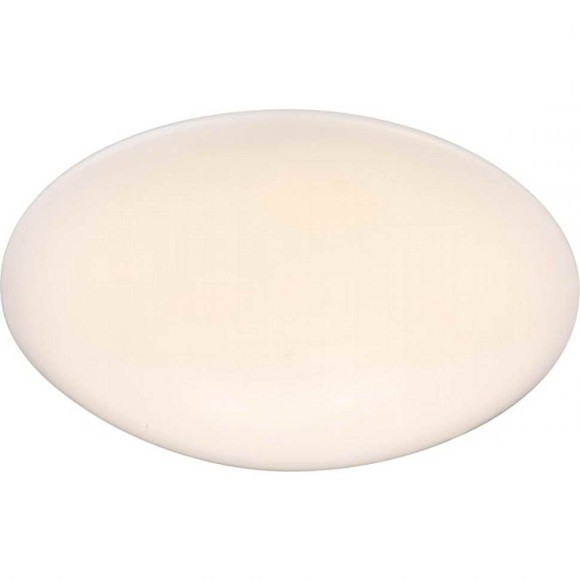 Потолочный светильник Globo Danylo 41696 Потолочный светильник Globo Danylo 41696