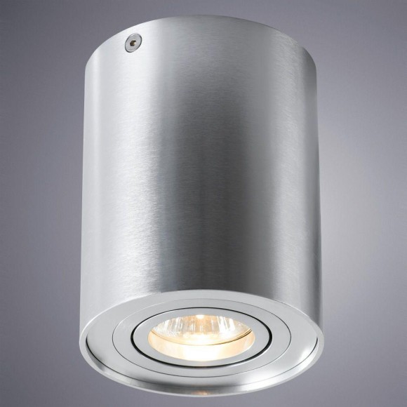 Светильник потолочный Falcon a5644pl-1si Arte Lamp