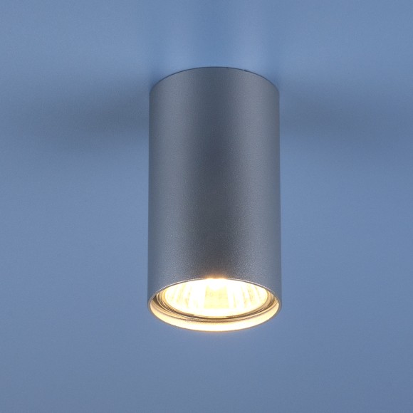 Накладной потолочный светильник 1081 (5257) GU10 SL серебряный Elektrostandard