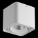 Потолочный светодиодный светильник Lightstar Monocco 052116R