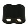 Светильник потолочный Falcon a5644pl-2bk Arte Lamp