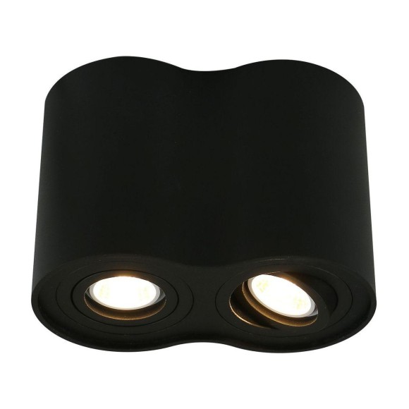 Светильник потолочный Falcon a5644pl-2bk Arte Lamp