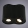 Светильник потолочный Falcon a5644pl-2bk Arte Lamp