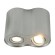 Светильник потолочный Falcon a5644pl-2si Arte Lamp