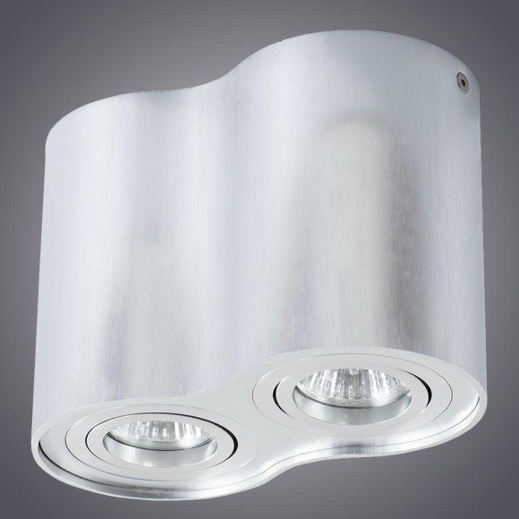 Светильник потолочный Falcon a5644pl-2si Arte Lamp