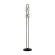 Торшер Odeon Light 5407/23FL