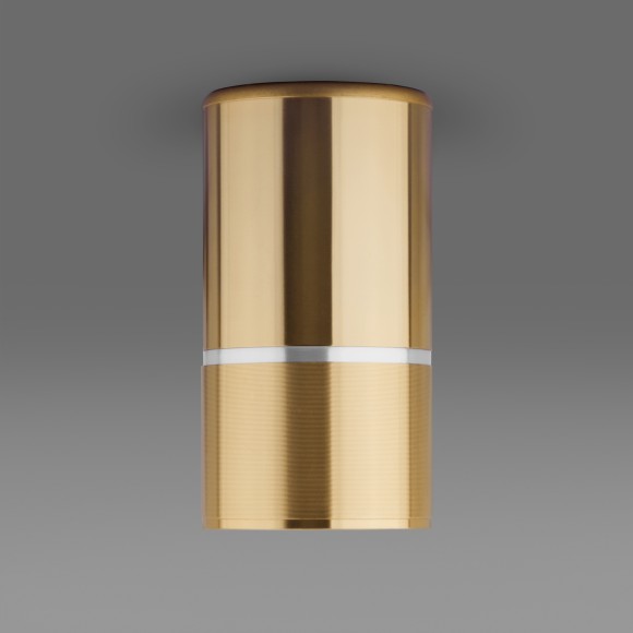 Накладной потолочный светильник DLN106 GU10 Elektrostandard