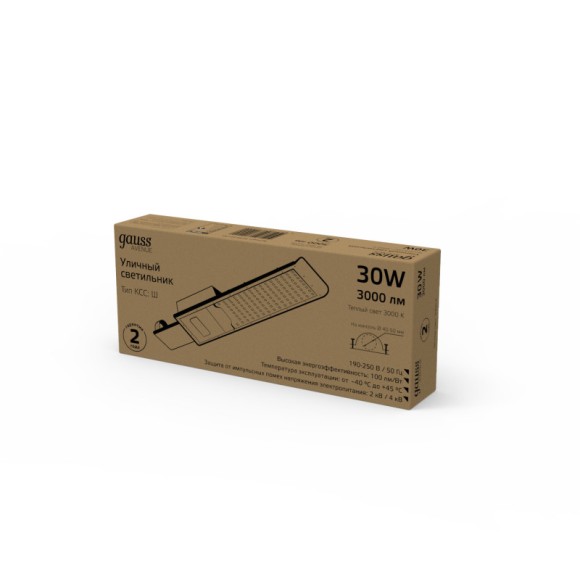 Консольный светильник Gauss 629534130 Консольный светильник Gauss 629534130