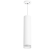 Комплект со светильником Rullo Rullo Lightstar RP49630