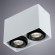 Светильник потолочный Pictor a5655pl-2wh Arte Lamp