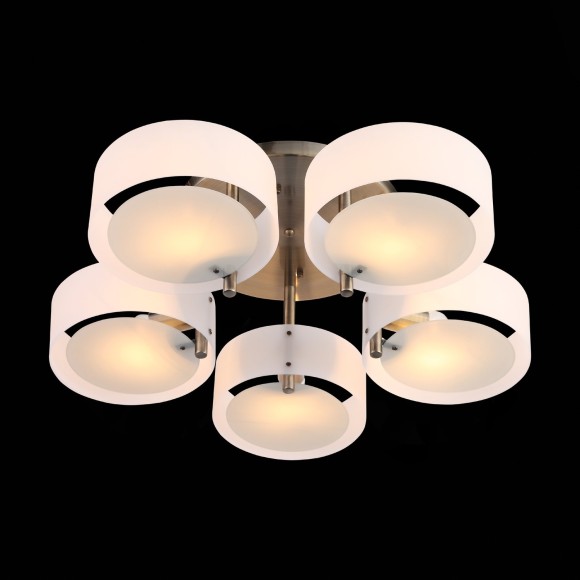 Светильник потолочный FORESTA sl483.352.05 EVOLUCE Светильник потолочный FORESTA sl483.352.05 EVOLUCE