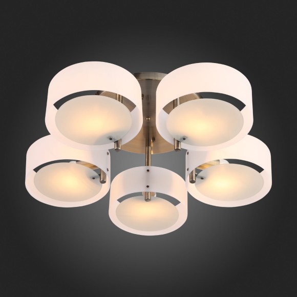 Светильник потолочный FORESTA sl483.352.05 EVOLUCE Светильник потолочный FORESTA sl483.352.05 EVOLUCE