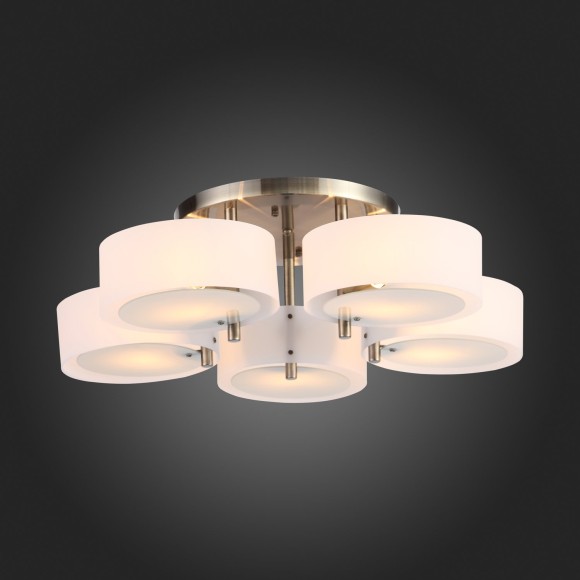 Светильник потолочный FORESTA sl483.352.05 EVOLUCE Светильник потолочный FORESTA sl483.352.05 EVOLUCE