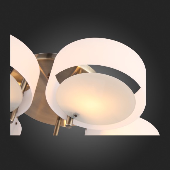 Светильник потолочный FORESTA sl483.352.05 EVOLUCE Светильник потолочный FORESTA sl483.352.05 EVOLUCE