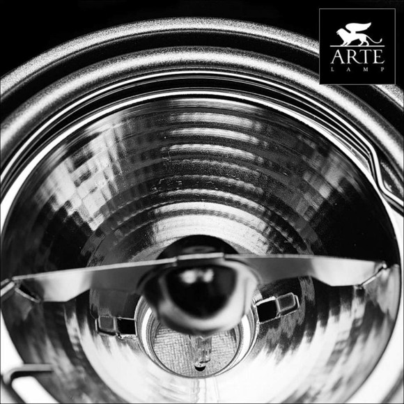 Точечный светильник Cardani Medio a5930pl-2si Arte Lamp