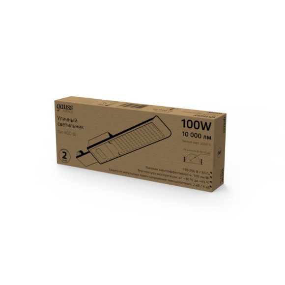 Консольный светильник Gauss 629534100 Консольный светильник Gauss 629534100