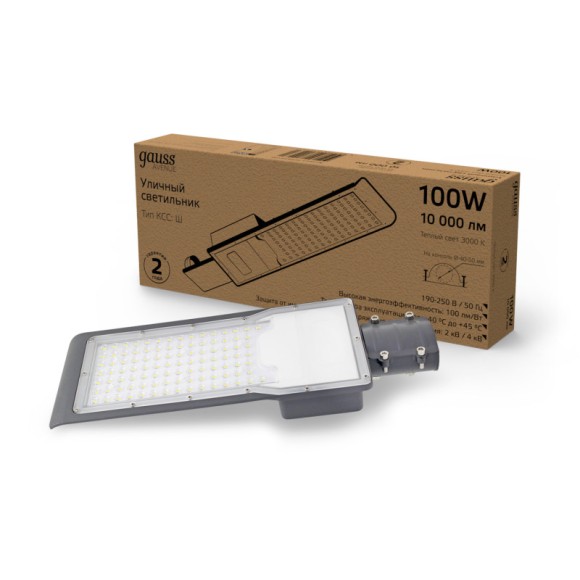 Консольный светильник Gauss 629534100 Консольный светильник Gauss 629534100