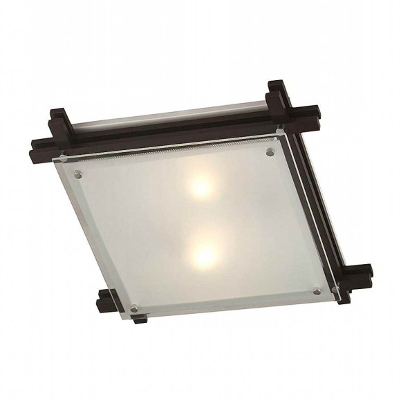 Светильник настенно-потолочный Globo 48324-2