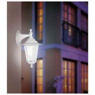 Уличный настенный светильник Eglo Laterna 5 22462