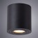 Светильник потолочный Galopin a1460pl-1bk Arte Lamp картинка 2