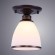 Светильник потолочный Bonito a9518pl-1ba Arte Lamp