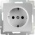 Розетка с заземлением (серебряный) Werkel WL06-SKG-01-IP20