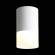 Светильник потолочный OTTU luce st100.542.05 ST LUCE